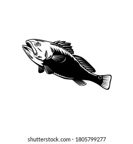 Red Drum Spottail Bass Redfish Channel Bass Or Puppy Drum Jumping Woodcut Black And White Retro