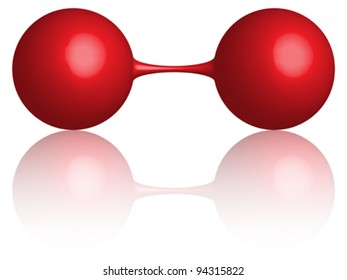 red dumbbell reflected over white background, abstract vector art illustration