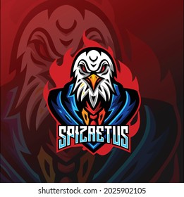 Deporte de juegos de mascota de águila roja