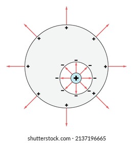Red electric field lines inside a hollowed out gray conductor with a blue point positive charge inside. White background.