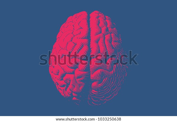 Red engraving brain illustration in top view\
isolated on blue\
background