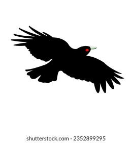 red eye ferocious eagle vector