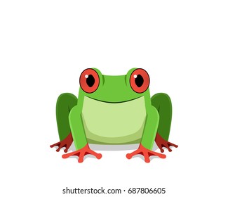 Red eye frog, Front view, vector