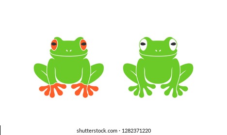 Red eye frog. Isolated frog on white background



