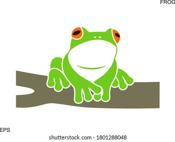 Red eye frog. Tree frog