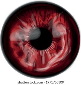 Red eye iri.  realistic vector 