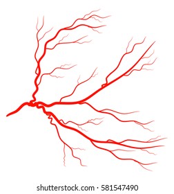 red eye vein  vector symbol icon design.
