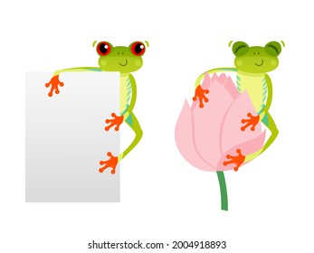 Red eyed frog with blank background. Tree frog on lotus flower. Cute animal. Vector 10 EPS illustration. Isolated on white backdrop