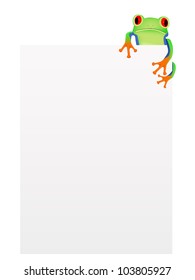 Red eyed tree frog with blank background