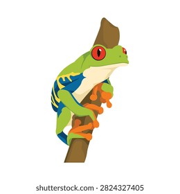 Red eyed tree frog climbing on wooden branch illustration in vector graphic style