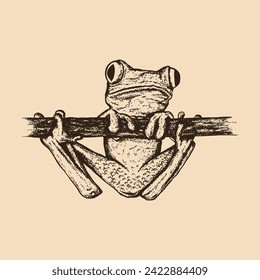 red eyed tree frog hand drawn. Vintage engraving. Pointillism style. Vector illustration
