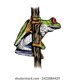 red eyed tree frog hand drawn. Vintage engraving. Pointillism style. Vector illustration