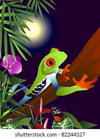 Red Eyed Tree Frog in the jungle.