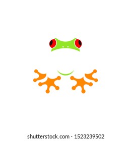 Red eyed tree frog. Logo. Tropical frog on white background. Cute animal 