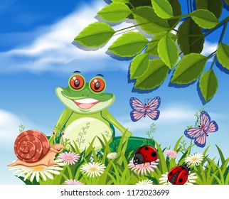 Red eyed tree frog in nature illustration