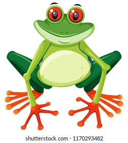 Red eyed tree frog on white background illustration