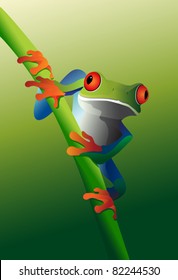 Red Eyed Tree Frog on vine