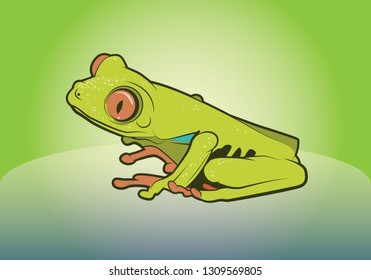Red Eyed Tree Frog Vector Illustration