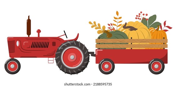 Tractor agrícola rojo con remolque de calabaza. Aislado en blanco. Ilustración colorida de la temporada de cosecha de otoño. Tarjeta de diseño, pegatina, afiche, pancarta. Ilustración de dibujos animados planos vectores.