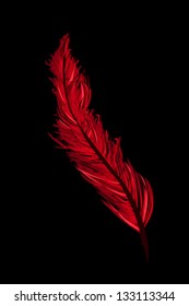 Red feather illustration, isolated objects on black