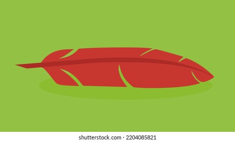 Pluma roja, ilustración, vector, caricatura