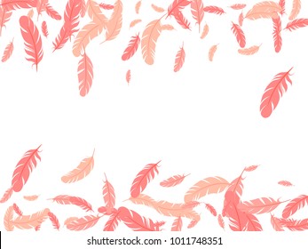 Red feather isolated on white pattern vector frame.  Minimal elegant border background. Editable background with flying feather elements and place for text. Frame vector design, card template.