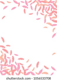 Red feather isolated on white pattern vector frame.  Gentle elegant border background. Editable background with flying feather elements and place for text. Frame vector design, card template.