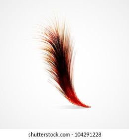 Red feather on a white background. Realistic vector