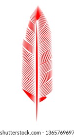 Red feather on white background, isolated. Ease, letter, flight