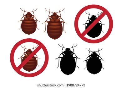 Red Female And Male Bedbugs. Warning Stop Signs With Colored Detailed Image Of An Bedbug And Its Black Silhouette Inside Red Sign On White Background. Fighting Insect Pests. EPS10 Vector.