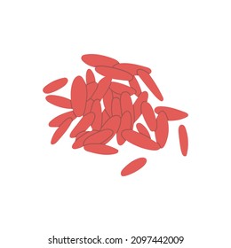 Red Fermented Rice. Vector hand drawn illustration. Isolated on white background.
