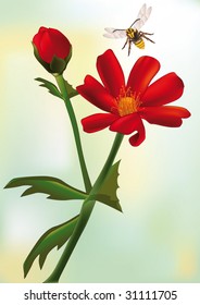 red field flower and bee