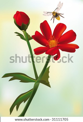 Similar – Image, Stock Photo coloured flowers