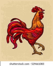 Red fiery rooster. Symbol Chinese 2017 new year. Vintage color drawn vector engraving illustration for poster , greeting card , web, coloring, filigree pattern. Isolated on beige background