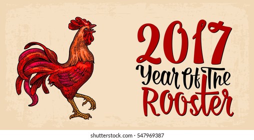 Red fiery rooster. Symbol Chinese new year. Vintage color drawn vector engraving illustration for poster , greeting card , web, coloring, filigree pattern. Isolated on beige background