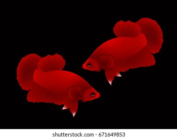 Red fight fish graphic vector