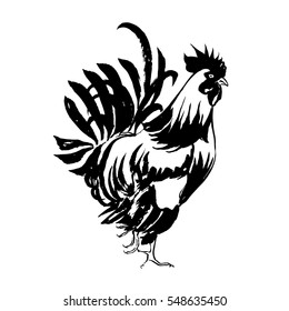 Red Fire Rooster, Chinese New Year 2017 Symbol. Hand drawn by Ink. Vector illustration.