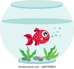 Red fish in globe aquarium
