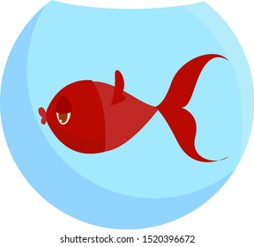 Pescado rojo, ilustración, vector sobre fondo blanco.