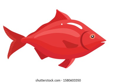 Red Fish marine seafish Vector Illustration on white Background