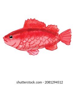  Red fish at ocean. watercolor object element under the sea. watercolor underwater