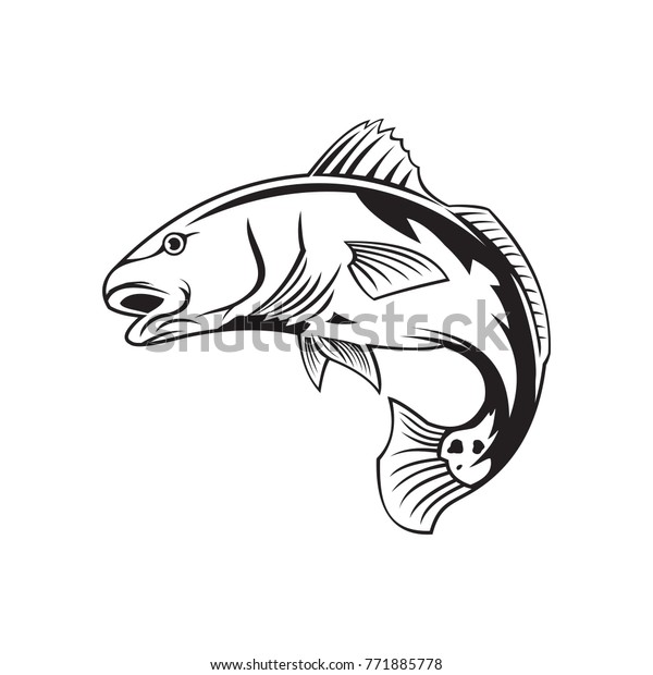 Download Red Fish Vector Logo Fishing Logo Stock Vector Royalty Free 771885778