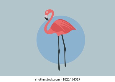 Ilustración de vectores de pájaro rojo Flamingo