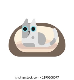 Red flat cartoon cute cat on cat litter on wite background vector illustration flat desin