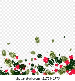 Red Flora Background Transparent Vector. Tree Brazil Backdrop. Green Philodendron. Style Pattern. Yellow Hawaii Card.