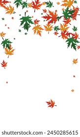 Red Floral Background White Vector. Leaves Giving Frame. Orange Forest. Abstract Texture. Golden Maple Isolated.