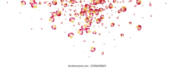 Red Floral Beauty Vector Panoramic White Background. Fly Lotus Backdrop. Beautiful Blossom Summer Texture. Pink Sakura Fall Frame.