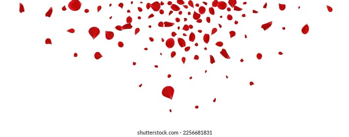 Red Floral Blur Vector Panoramic White Background. Japanese Peach Texture. Delicate Petal Falling Design. Pink Rose Beauty Backdrop.