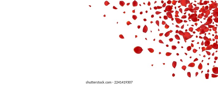 Red Floral Fall Vector Panoramic White Background. Japan Rose Backdrop. Pink Blossom Fly Design. Beautiful Flower Japanese Wallpaper.