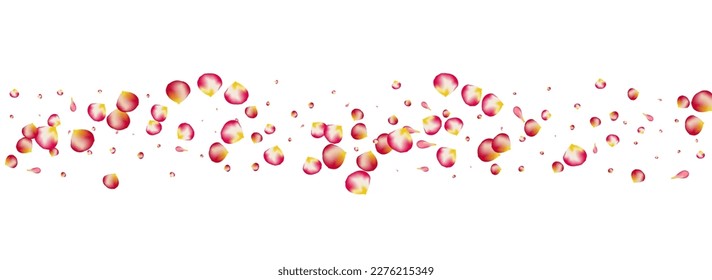 Red Floral Fall Vector Panoramic White Background. Japan Flower Backdrop. Beautiful Blossom Flying Cover. Pink Cherry Japanese Poster.